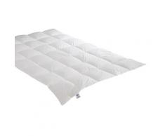 Badenia »Irisette Nora« Daunendecke leicht / 200x200 cm / 360g