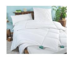 Frankenstolz »Klima Active Plus« Bettdecke Steppbett / 135x200 cm / 1000g
