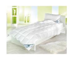 Frankenstolz »Medisan« Bettdecken Vierjahreszeiten-Steppbett / 200x200 cm / 1200/8300g