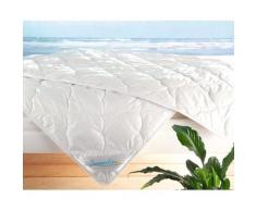 Frankenstolz »Summerline Cool Linnen« Bettdecke Leicht-Steppbett 155x220 cm 800g