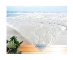 Frankenstolz »Summerline Wash Cotton« Bettdecke Leich-Steppbett 135x200 cm 560g