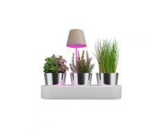 Sompex »Peeky« Akku-Tischleuchte anthrazit