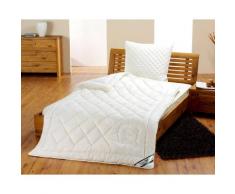 Frankenstolz »kbA Baumwolle« Bettdecken Leicht-Steppbett / 155x220 cm / 800g