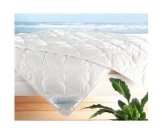 Frankenstolz »Summerline Cool Linnen« Bettdecke – erhältlich in 2 Größen