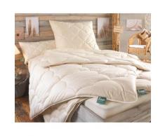 Frankenstolz »Hanf Relax« Bettdecke Leich-Steppbett 155x220 cm 600g