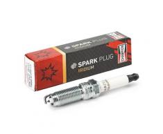 CHAMPION Zündkerze FORD OE251 1802090,CM5G12405CD,CM5G12405CE Zündkerzen,Kerzen,Zuendkerzen DS7G12405BA,HYFS093YEC,HYFS094YEC,1748575,1770305