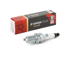 CHAMPION Zündkerze OPEL,AUDI,CHEVROLET OE264 A0041592003,12290PNDA01,959F12405AA Zündkerzen,Kerzen,Zuendkerzen 9188681,2240153J13,2240153J66