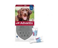 Advantix Spot-on Lsg.z.Auftr.a.d.H.f.Hund 25-40 kg 4x4 ml Lösung
