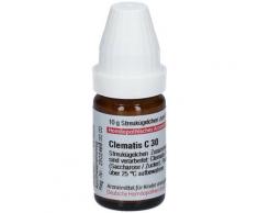 Clematis C 30 Globuli 10 g