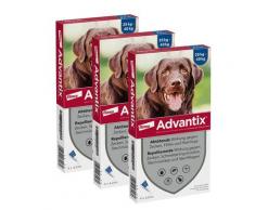 Advantix Spot on für Hunde 25 - 40 kg 3x4x4 ml Lösung