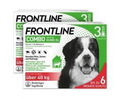 Frontline Combo Spot on gegen Flöhe und Zecken Hund XL über 40kg 2x3 St Einzeldosispipetten