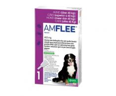 Amflee 402 mg Spot-on Lsg.f.sehr gr.Hunde 40-60kg 3 St Lösung