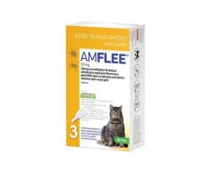 Amflee 50 mg Spot-on Lösung z.Auftropfen f.Katzen 3 St