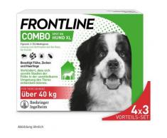Frontline Combo Spot on gegen Flöhe und Zecken Hund XL über 40kg 4x3 St Lösung