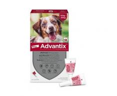 Advantix Spot-on Lsg.z.Auftr.a.d.H.f.Hund 10-25 kg 4 St Lösung