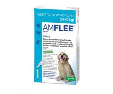 Amflee 268 mg Spot-on Lsg.f.große Hunde 20-40kg 3 St Lösung