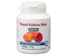 Nopal Kaktus mex.Kapseln 120 St Kapseln