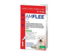 Amflee 67 mg Spot-on Lsg.f.kleine Hunde 2-10kg 3 St Lösung