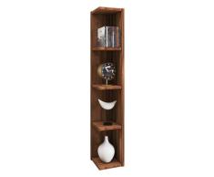 VCM Regal "Honsa-Stand" Kern-Nussbaum