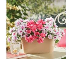 Balkon-Kunstblumen "Azaleen" Gainsborough 3er-Set