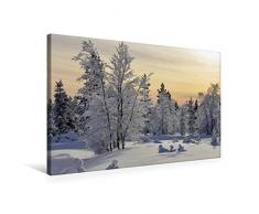 Calvendo Premium Textil-Leinwand 75 cm x 50 cm quer, Finnland | Wandbild, Bild auf Keilrahmen, Fertigbild auf echter Leinwand, Leinwanddruck Natur Natur