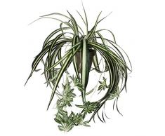 MICA Decorations 918252 Chlorophytum L45D45 gruen in Topf Stan D11.5 grau Kunstpflanze, Polyester, 45 x 45 x 45 cm