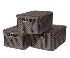 CURVER STYLE BOX M mit Deckel, 3er-Set