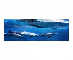 Panoramabild auf Leinwand und Keilrahmen 150x50cm Ozean Welle Delfine Unterwasser