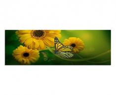 Panoramabild auf Leinwand und Keilrahmen 150x50cm Gerbera Blumen Schmetterlinge Nahaufnahme