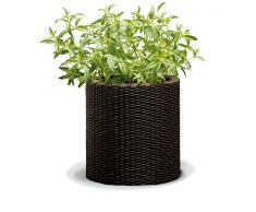 CURVER Rattan Blumentopf groß