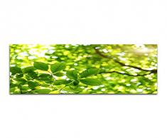 Panoramabild auf Leinwand und Keilrahmen 150x50cm Baumkrone BlÃ¤tter Sonnenstrahlen FrÃ¼hling