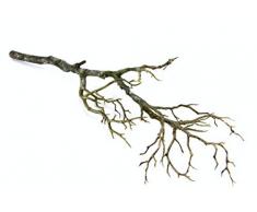 Flair Flower 020707BR Dekoast, Künstlich, Zweige für Vasen, Dekozweig, Frühlingsdeko, Osterdeko, Weihnachtsdeko, 62 cm, Braun, 17x62x12 cm