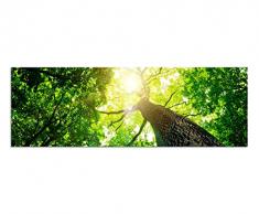 Panoramabild auf Leinwand und Keilrahmen 150x50cm Baum Stamm Krone Sonnenstrahlen