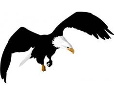 INDIGOS 4051719802955 Wandtattoo ME045 groÃer Adler Greifvogel 60 x 37 cm