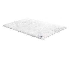 Irisette Badenia Bettcomfort Triberg Steppbett 4-Jahreszeiten, 155 x 220 cm