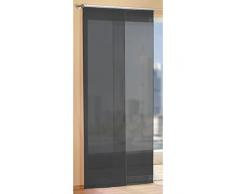 Gardinen Set, 2 x Flächenvorhang Schiebegardine mit Zubehör, Schwarz