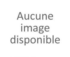 Orthex 3460265 Smart Store Dry Box, PP, grau, 40 x 30 x 19 cm Aufbewahrungsboxen