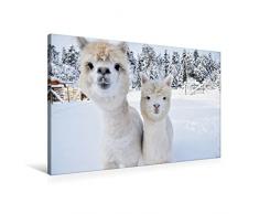 Calvendo Premium Textil-Leinwand 90 cm x 60 cm quer, SchneegestÃ¶ber | Wandbild, Bild auf Keilrahmen, Fertigbild auf echter Leinwand, Leinwanddruck Tiere Tiere