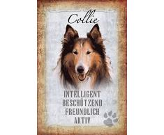 Hunde steckbrief: Collie - intelligent, beschützend, freundlich, aktiv blechschild