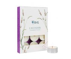 WAX LYRICAL Teelichter, Lavendel, 12 Stück Brenndauer ca. 4 Stunden,