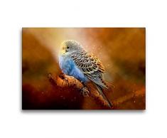 Premium Textil-Leinwand 75 x 50 cm Quer-Format WunderschÃ¶ner Wellensittich | Wandbild, HD-Bild auf Keilrahmen, Fertigbild auf hochwertigem Vlies, Leinwanddruck von Peter Roder