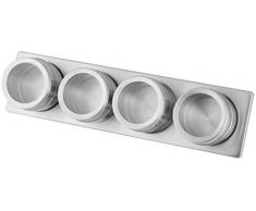 Fackelmann Magnetleiste mit 4 Dosen, Aufbewahrung für Gewürzdosen, Gewürzregal zur Anbringung an der Wand (Farbe: Silber/Transparent), Menge: 1 Leiste, 4 Dosen
