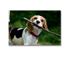 Premium Textil-Leinwand 90 x 60 cm Quer-Format Hab ein tolles Stöckchen gefunden. | Wandbild, HD-Bild auf Keilrahmen, Fertigbild auf hochwertigem Vlies, Leinwanddruck von Sonja Teßen