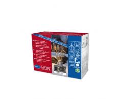 Konstsmide 3728-100 LED Lichterkette/für AuÃen (IP44) / Batteriebetrieben: 2xD 1.5V / mit Schalter, Lichtsensor und 6h u. 9h Timer / 80 warm weiÃe Dioden/schwarzes Kabel