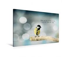 Calvendo Premium Textil-Leinwand 120 cm x 80 cm Quer, Irischer Segenswunsch und Kohlmeisenbaby | Wandbild, Bild auf Keilrahmen, Fertigbild auf Echter Leinwand. Meisenbaby auf Dem AST Tiere Tiere