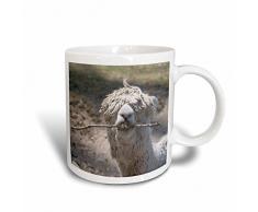 3dRose Alpaka Kauen auf Stick-Magic verwandelt Becher, Keramik, Schwarz/Weiß, 10,16 x 7,62 x 9,52 cm