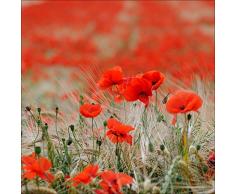 Pro-Art GLA1193ZE Wandbild Glas-Art Red Flowers, bunt