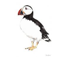 Geschirrtuch im Papageientaucher-Design