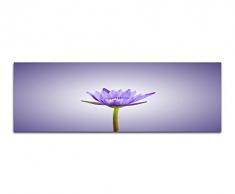 Panoramabild auf Leinwand und Keilrahmen 150x50cm Lotus BlÃ¼te GroÃaufnahme lila