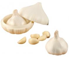 Fackelmann Knoblauch-Tresor, Knoblauchtopf aus Kunststoff, Aufbewahrungsbox für Knoblauch (Farbe: Weiß), Menge: 1 Stück